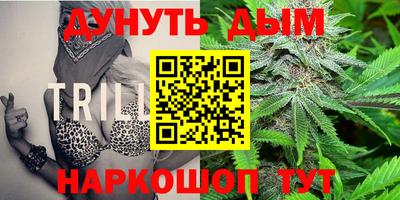 прущие крисы Будённовск