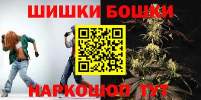 прущие крисы Будённовск