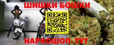 прущие крисы Будённовск