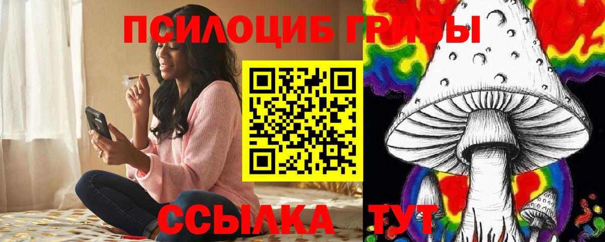 купить  цена  Псилоцибиновые грибы Cubensis  Вход с VPN  Липецк 